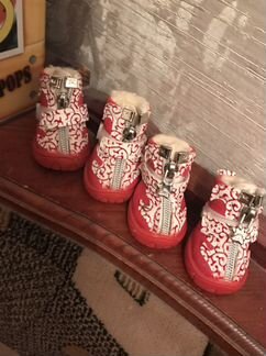 Ботиночки для собаки