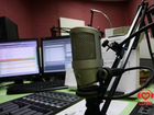 Журналист-ведущий новостных программ на радио
