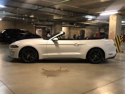 Ford Mustang 2.3 AT, 2018, 43 000 км