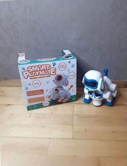 Робот Smart Playmate