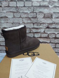 Угги низкие люкс UGG Australian